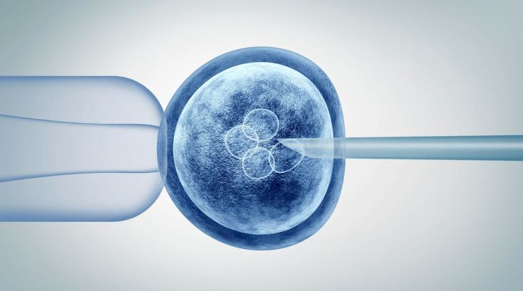 Células madre embrionarias