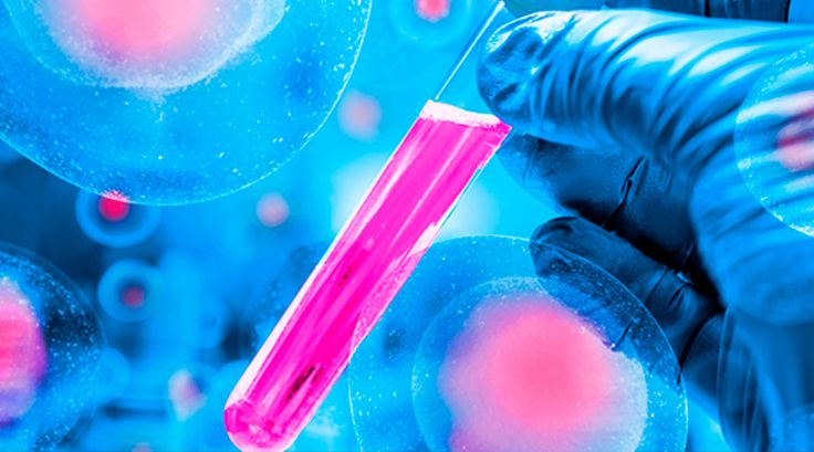 Facts about Cellular Therapies
