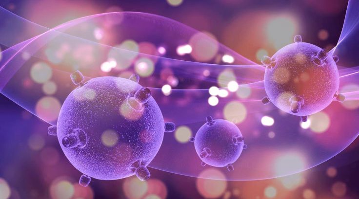 Stem Cells: The raw material of the body